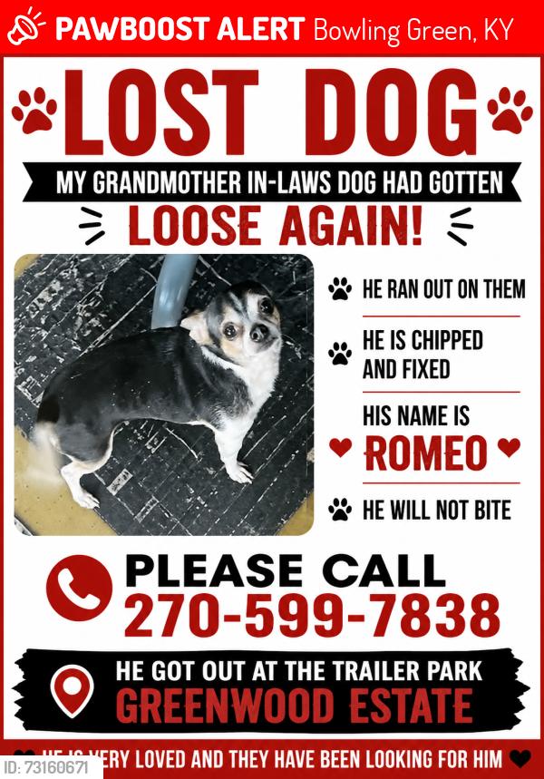 Lost Male Dog last seen Near scottsville rd bowling green ky 42104, Bowling Green, KY 42104