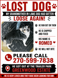 Lost Male Dog last seen Near scottsville rd bowling green ky 42104, Bowling Green, KY 42104