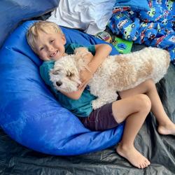 Reunited Male Dog last seen Forest Lake Drive and Forest Lake Drove, Asheville, NC 28803