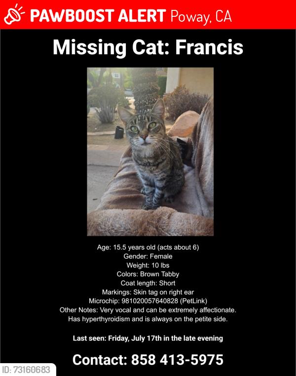 Lost Female Cat last seen Hickory ct. poway, ca, Poway, CA 92064
