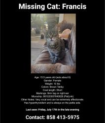 Lost Female Cat last seen Hickory ct. poway, ca, Poway, CA 92064