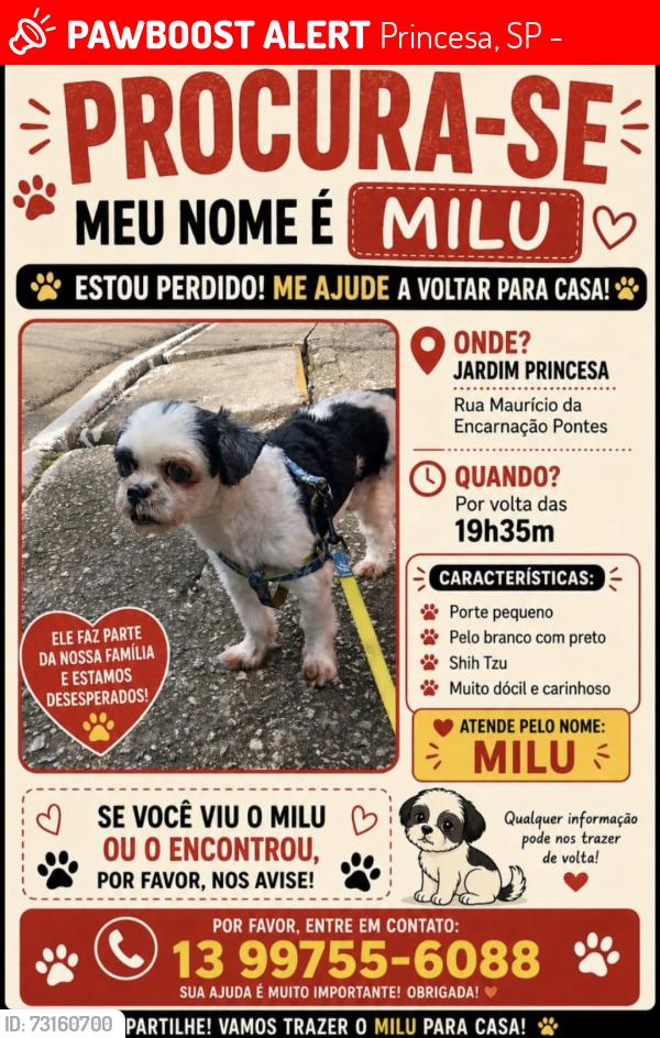 Lost Male Dog last seen Rua Maurício da Encarnação Pontes, 166, Princesa, SP 11711-100