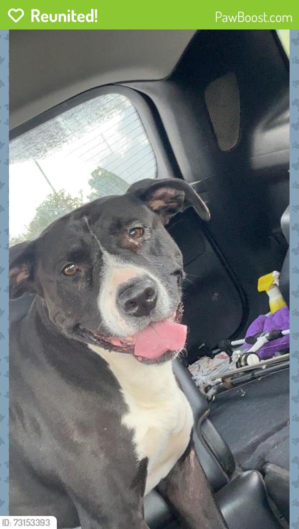Reunited Female Dog last seen Near z Richmond, Wichita, KS 67213