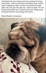 Lost Male Dog last seen Near FM 3041 Corsicana, Corsicana, TX 75109
