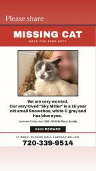 Lost Female Cat last seen 64th and MCINTYRE, Arvada, CO 80007