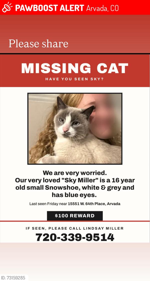 Lost Female Cat last seen 64th and MCINTYRE, Arvada, CO 80007