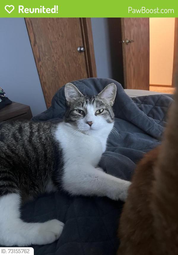 Reunited Male Cat last seen 240th st. & Iberia Eureka twp, Lakeville, MN 55044