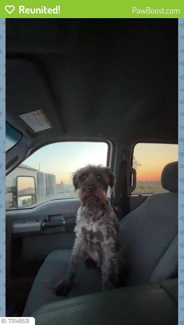 Reunited Male Dog last seen Silkwood & Minosa near Liberty Market, Delhi, CA 95315