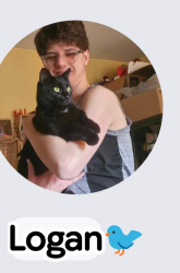 Lost Female Cat last seen 56th and Olde Wadsworth, Arvada, CO 80002