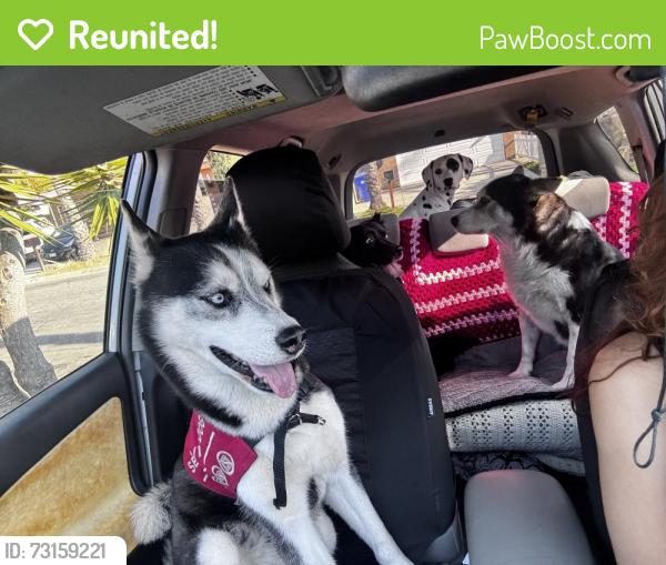 Reunited Male Dog last seen Stephanie Place, Oceanside, CA 92057