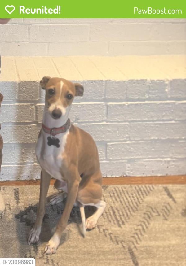Reunited Male Dog last seen Autumn grove dr & haslemere ln - the grove, Edmond, OK 73012