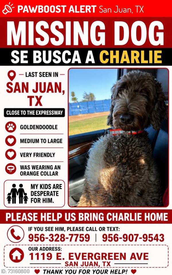 Lost Male Dog last seen cesar chavez and 495, San Juan, TX 78589