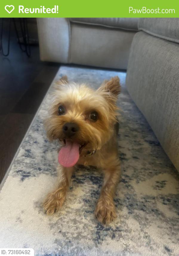 Reunited Male Dog last seen 47th and Chouteau, Shawnee, KS 66226