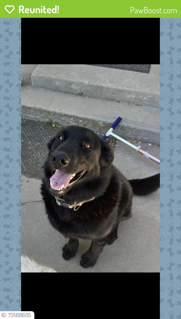 Reunited Male Dog last seen Near SunnyRidge Rd, Nampa, ID 83686, USA, Nampa, ID 83686