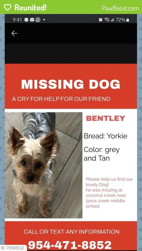 Reunited Male Dog last seen Lyons Creek Middle School, Coconut Creek, FL 33073