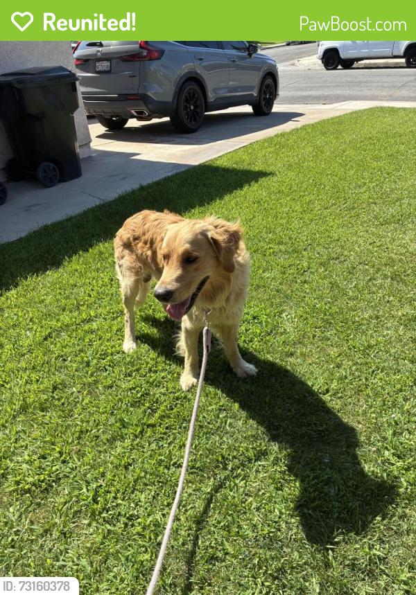 Reunited Male Dog last seen Cherry and banana, Fontana, CA 92337