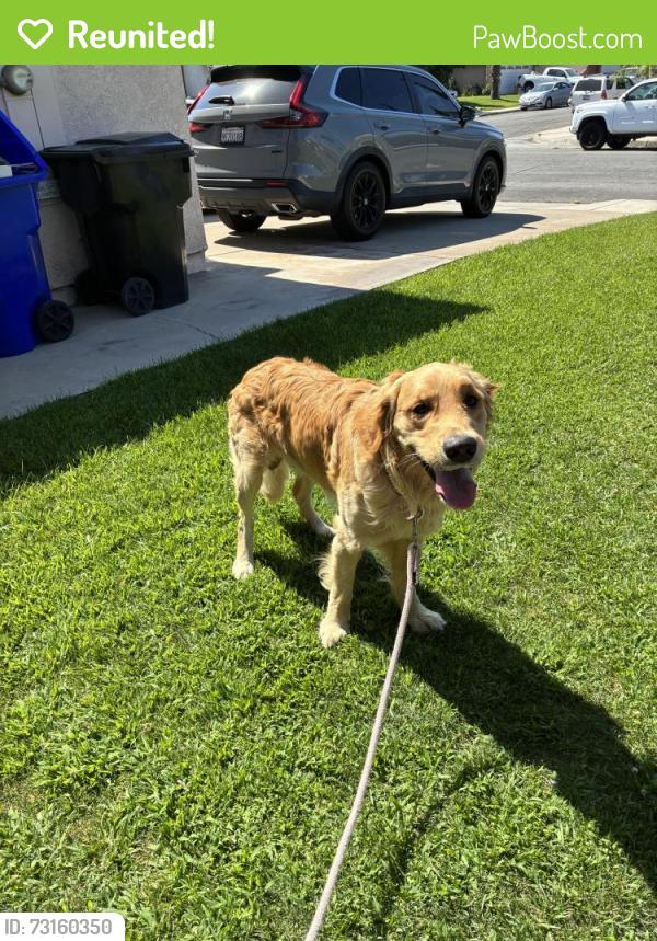 Reunited Male Dog last seen Cherry and banana, Fontana, CA 92337