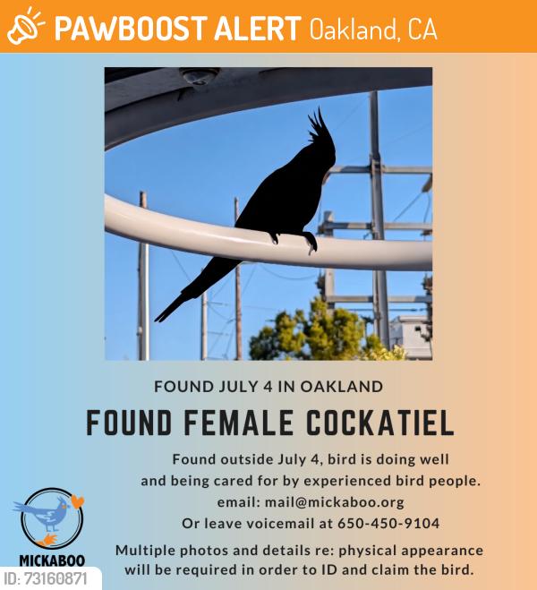 Found/Stray Female Bird last seen Oakland, Oakland, CA 94612