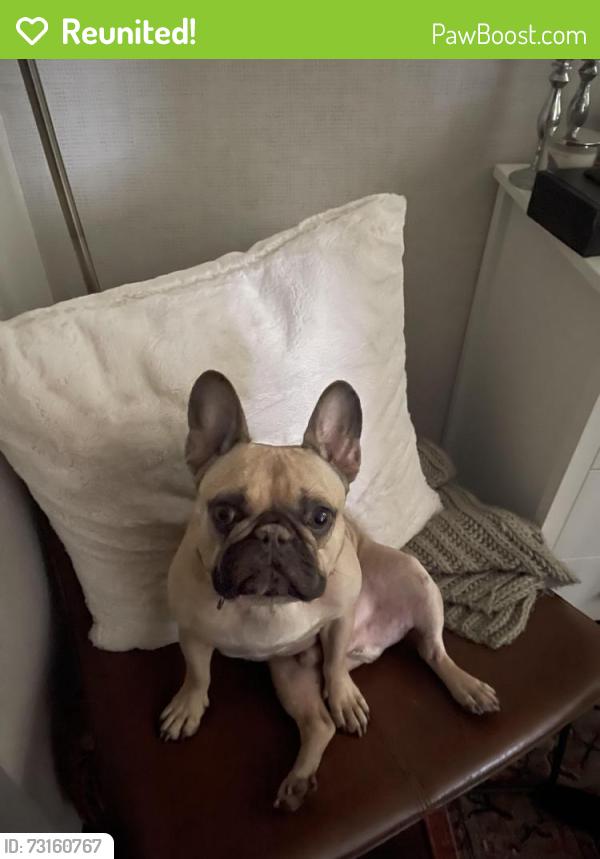 Reunited Male Dog last seen Near imperial ave, San Diego, CA 92102