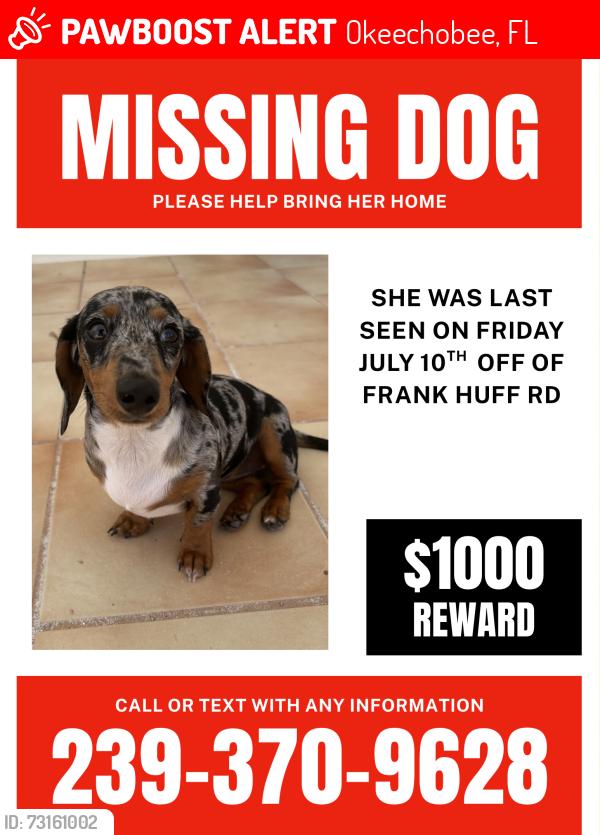 Lost Female Dog last seen Harney Pond Canal, Okeechobee, FL 34974