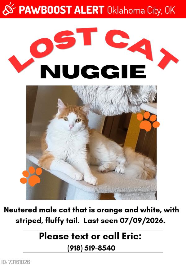 Lost Male Cat last seen Coltrane and NE 122 st, Oklahoma City, OK 73131