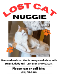 Lost Male Cat last seen Coltrane and NE 122 st, Oklahoma City, OK 73131