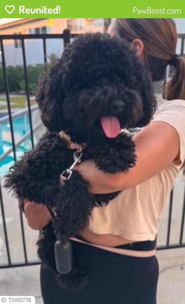 Reunited Unknown Dog last seen 6th St, Downey, CA 90241, USA, Downey, CA 90241