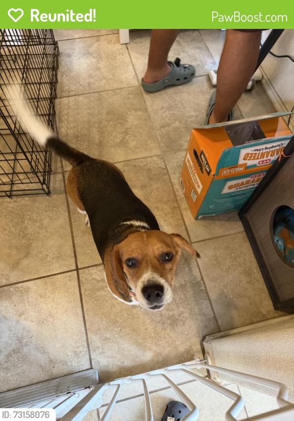 Reunited Male Dog last seen Near / key windy way, Converse, TX 78109