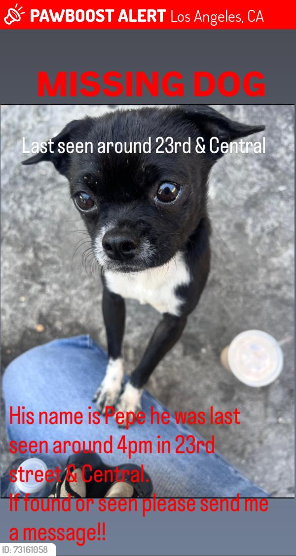 Lost Male Dog last seen Near Westminster Baptist Church, Los Angeles, CA 90019