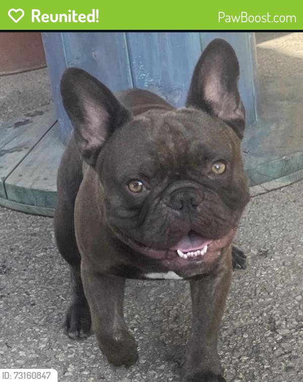 Reunited Male Dog last seen California, Tyler, Riverside, CA 92503