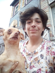 Lost Male Dog last seen Pratt street and Carey st, Baltimore, MD 21223