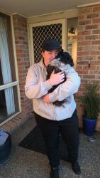 Reunited Unknown Dog last seen Crisp Circuit Bruce, Bruce, ACT 2617