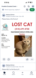 Reunited Male Cat last seen Near S 34th Street, Franklin, WI 53132