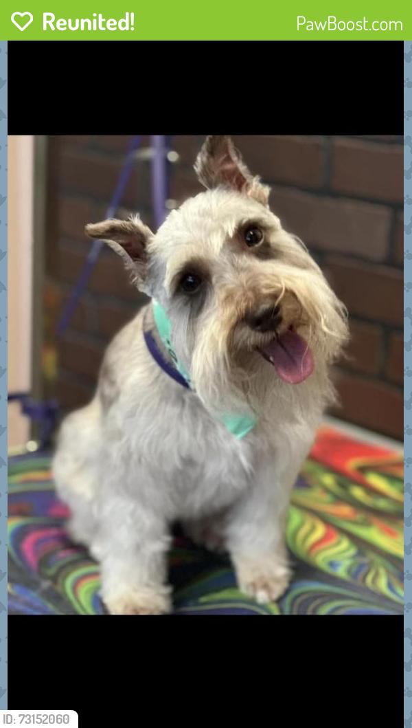 Reunited Male Dog last seen Southwest park, Irving, TX 75060