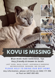 Lost Male Cat last seen Rava Court Aspendale Gardens Vic 3195, Aspendale Gardens, VIC 3195