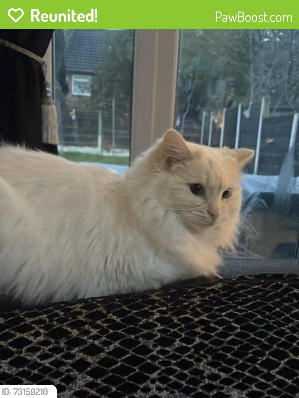 Reunited Female Cat last seen Baguley Park, Wythenshawe, England M23 1NB