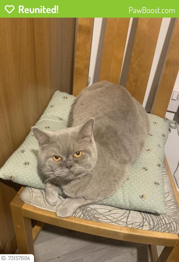 Reunited Female Cat last seen Liverpool Street, Greater Manchester, England M5 4HG