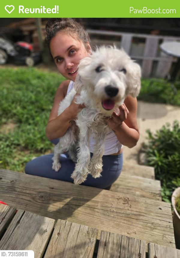 Reunited Female Dog last seen Germantown Ave and Carpenter Lane, Philadelphia, PA 19119