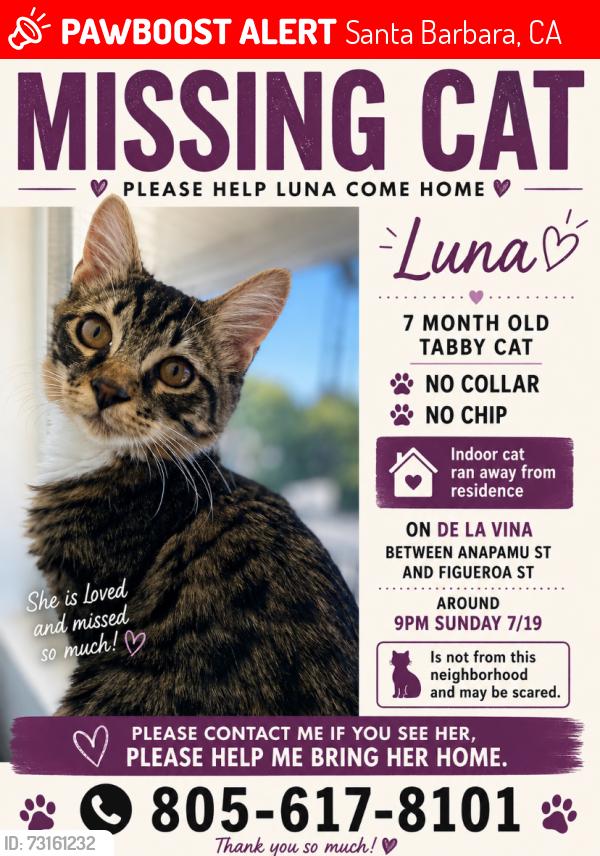 Lost Female Cat last seen Between Anapamu & Figueroa Street, Santa Barbara, CA 93101