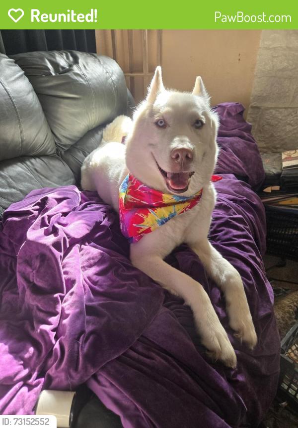 Reunited Female Dog last seen Blanding, Jacksonville, FL 32210