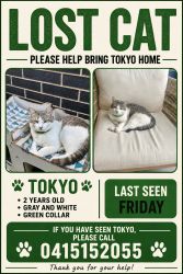 Lost Male Cat last seen Farrell road, Bass Hill, NSW 2197