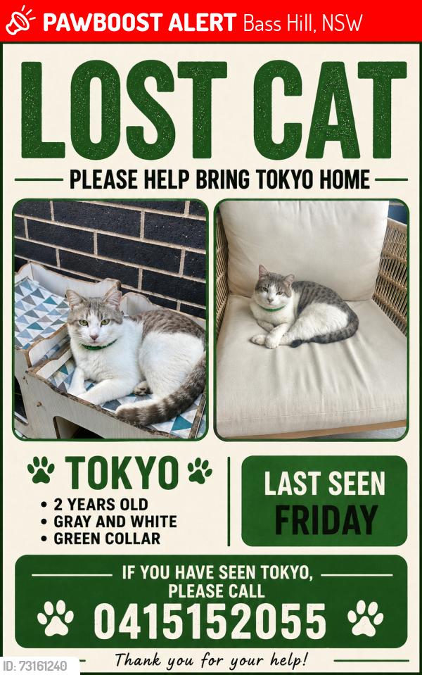 Lost Male Cat last seen Farrell road, Bass Hill, NSW 2197