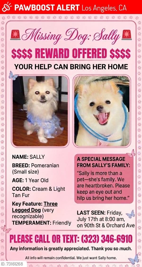 Lost Female Dog last seen Near w 90th street los angeles, Los Angeles, CA 90044