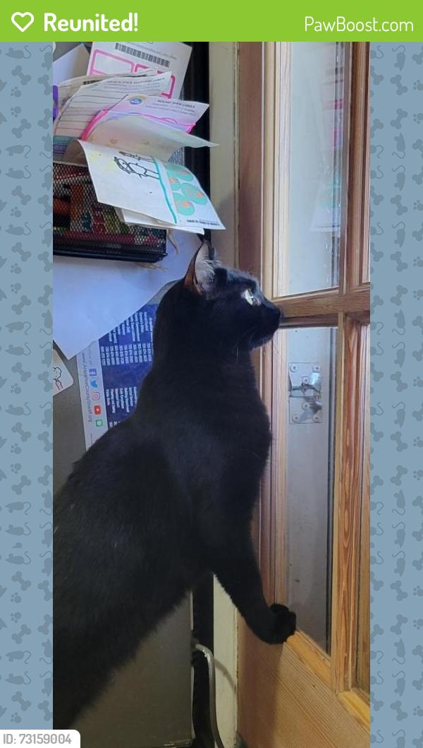 Reunited Male Cat last seen Eagle and E Security, Aurora, CO 80011