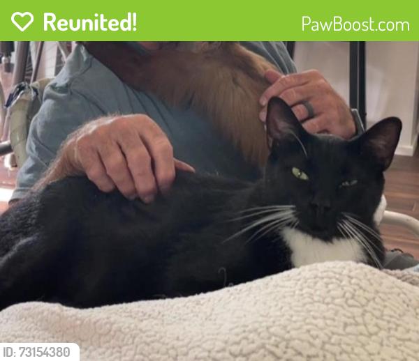 Reunited Male Cat last seen Near, Athens, TX 75751