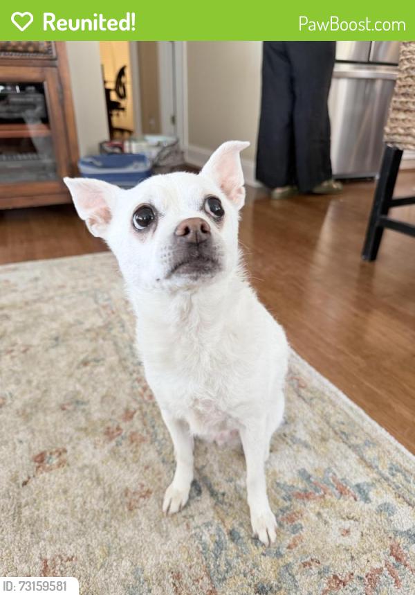 Reunited Female Dog last seen Airport blvd & Weatherford, Mobile, AL 36609