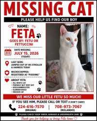 Reunited Male Cat last seen Atkinson rd, Lake Bluff, IL 60044