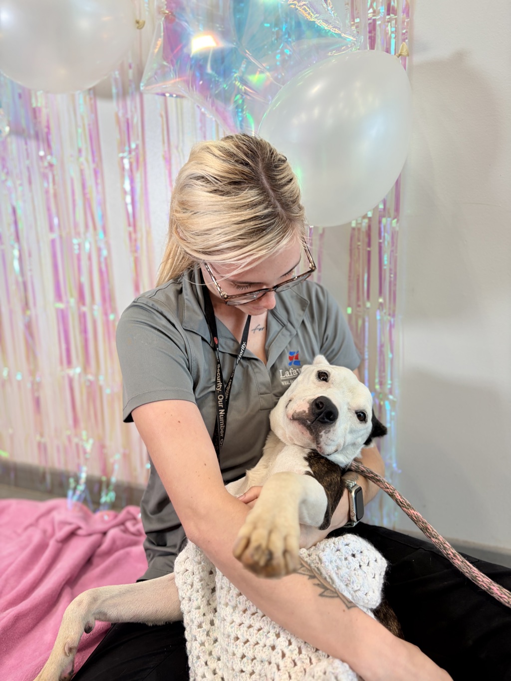 Shelter Stray Female Dog last seen Near Lajuanie Road, LAFAYETTE, LA, 70501, 410 Dugas Rd, Lafayette, LA 70507, USA