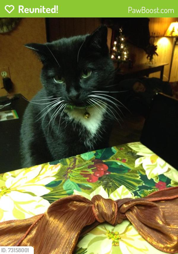 Reunited Female Cat last seen Birch Lake Blvd & Centerville Road, White Bear Lake, MN 55127