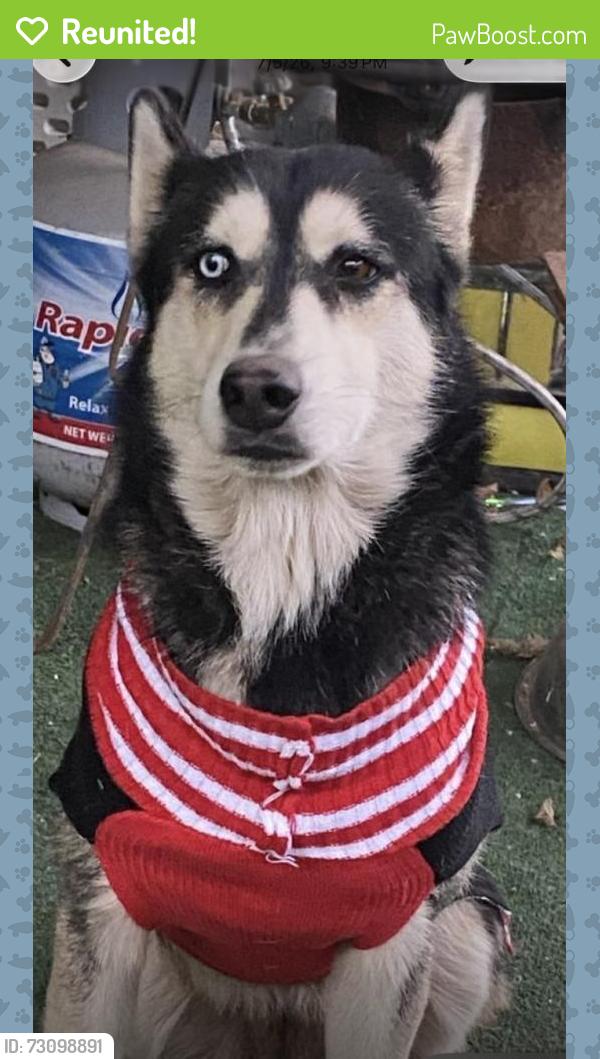 Reunited Female Dog last seen Seminary,fuller,mccart, Fort Worth, TX 76133
